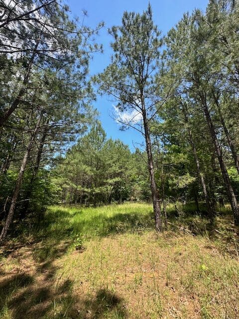 The Shag Bark Tract