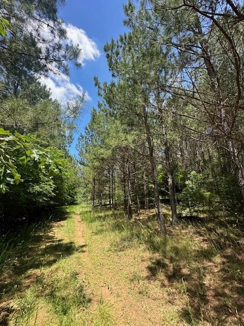 The Shag Bark Tract
