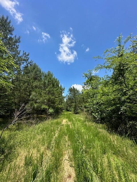 The Shag Bark Tract