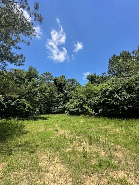 The Shag Bark Tract