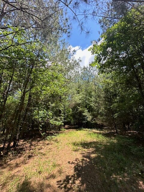 The Shag Bark Tract