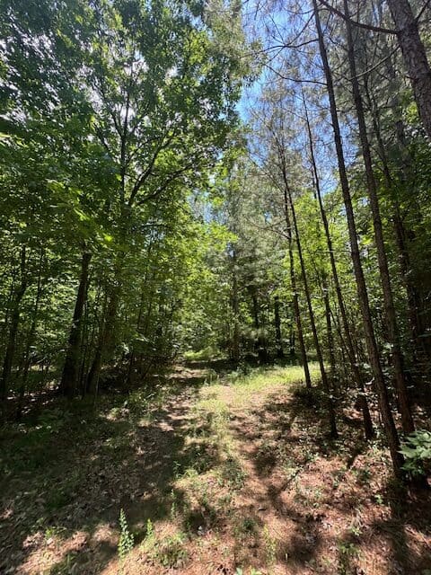 The Shag Bark Tract