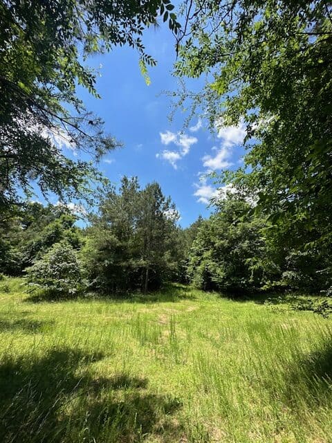The Shag Bark Tract