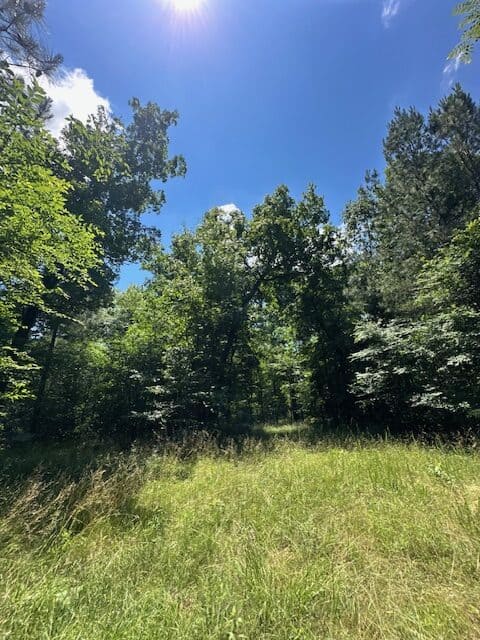The Shag Bark Tract