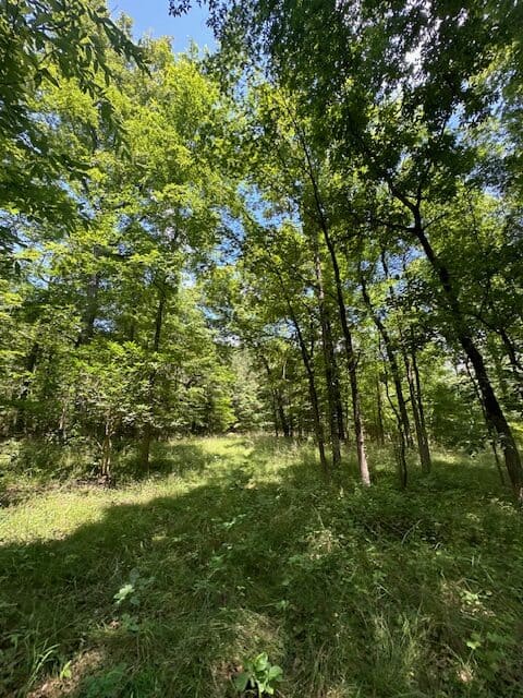 The Shag Bark Tract