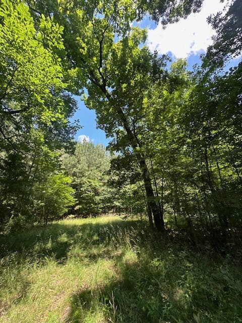 The Shag Bark Tract