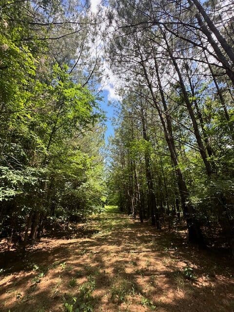 The Shag Bark Tract