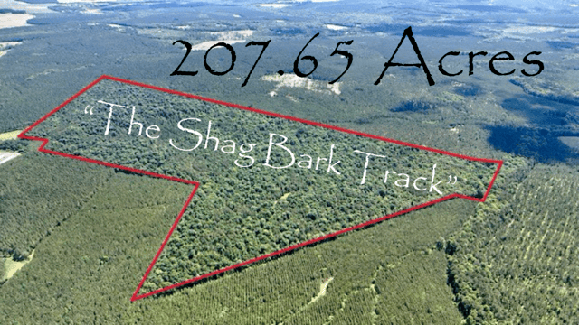 The Shag Bark Tract