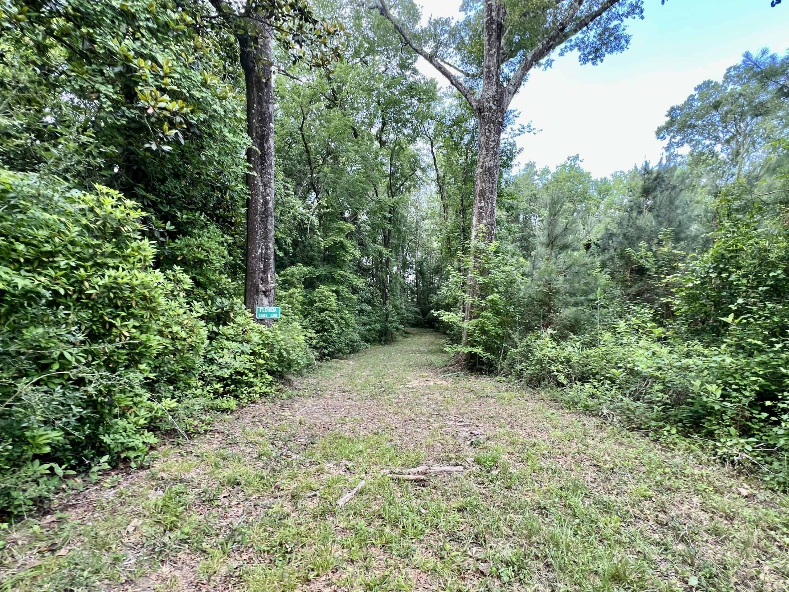 North Florida Hunting Land for Sale