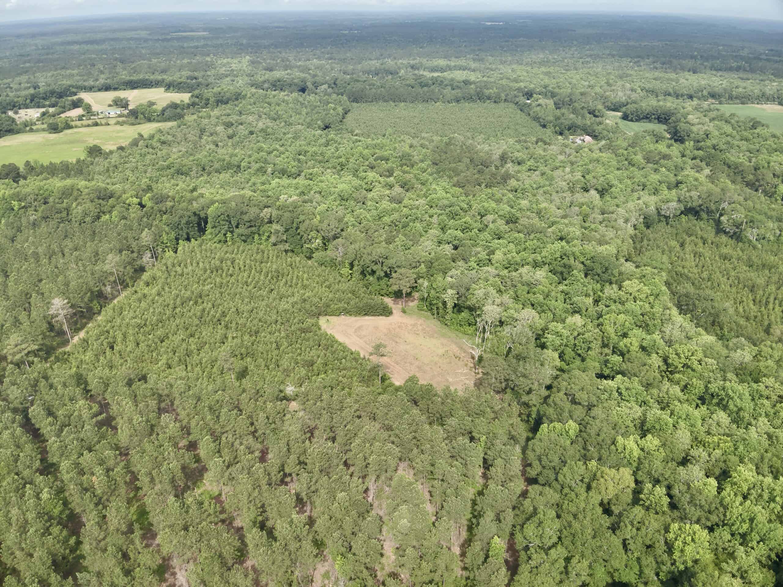 North Florida Hunting Land for Sale