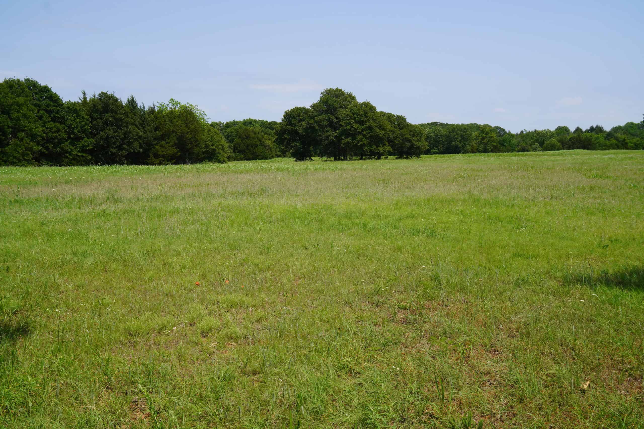 COUNTRY HOME AND RECREATIONAL LAND FOR SALE, MEEKER, OK