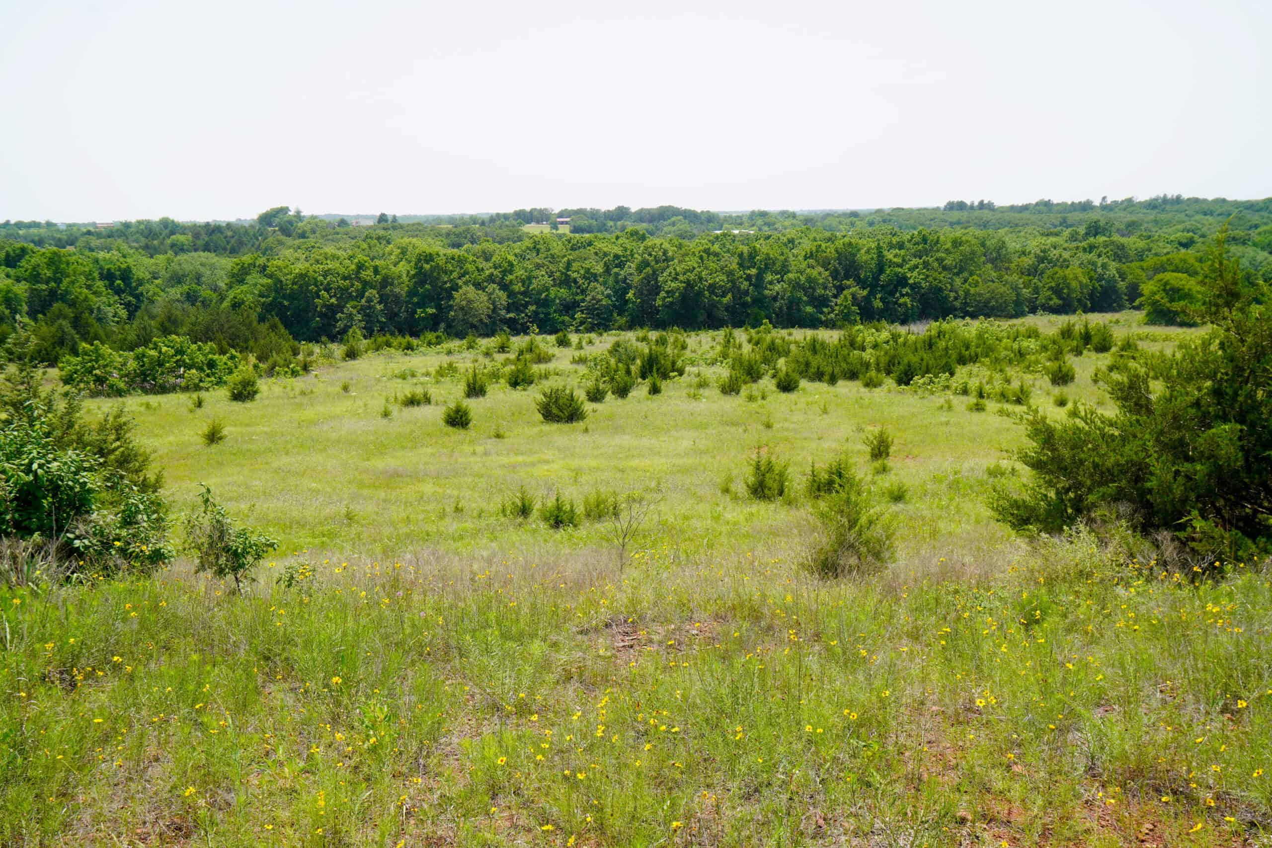 COUNTRY HOME AND RECREATIONAL LAND FOR SALE, MEEKER, OK