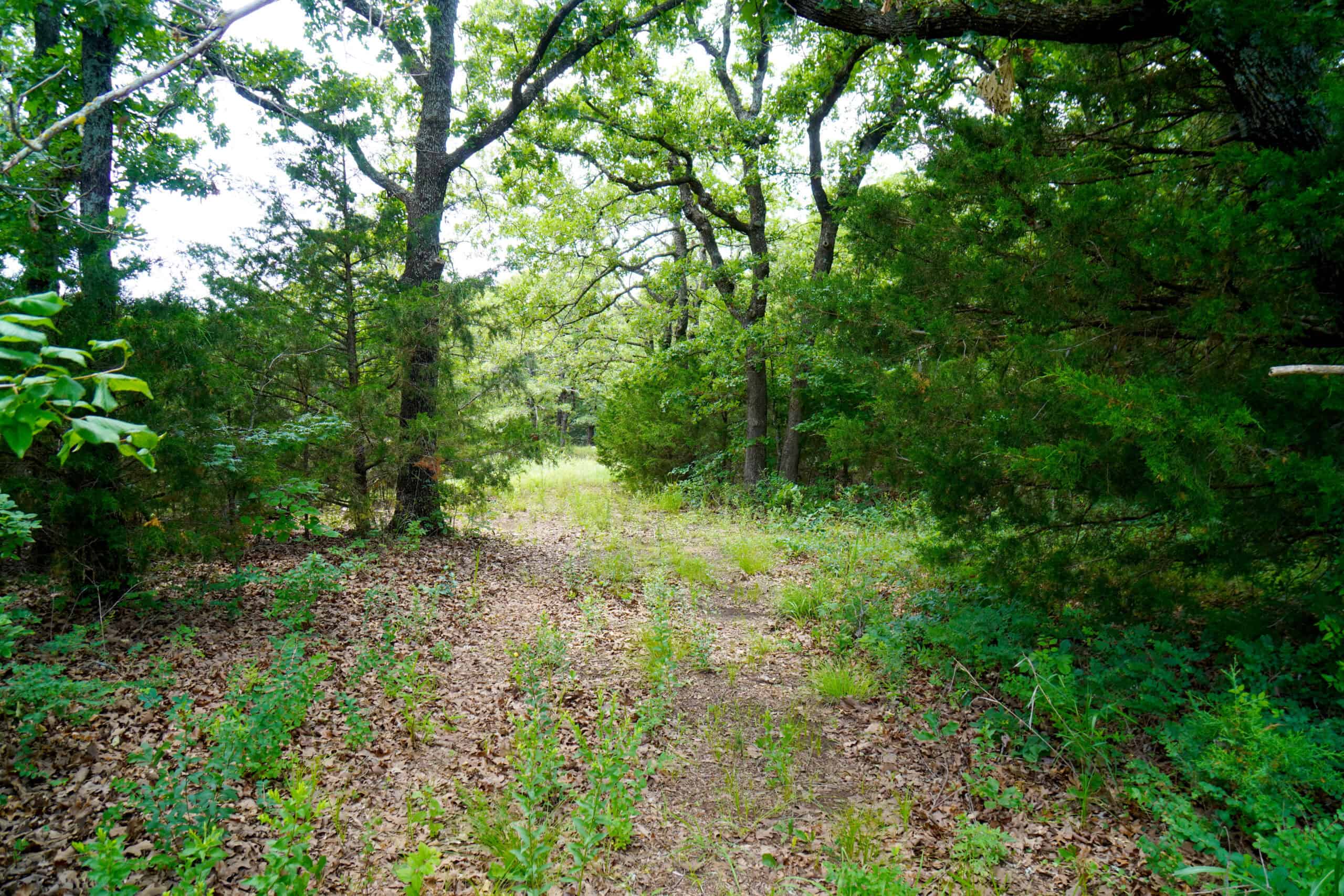 COUNTRY HOME AND RECREATIONAL LAND FOR SALE, MEEKER, OK