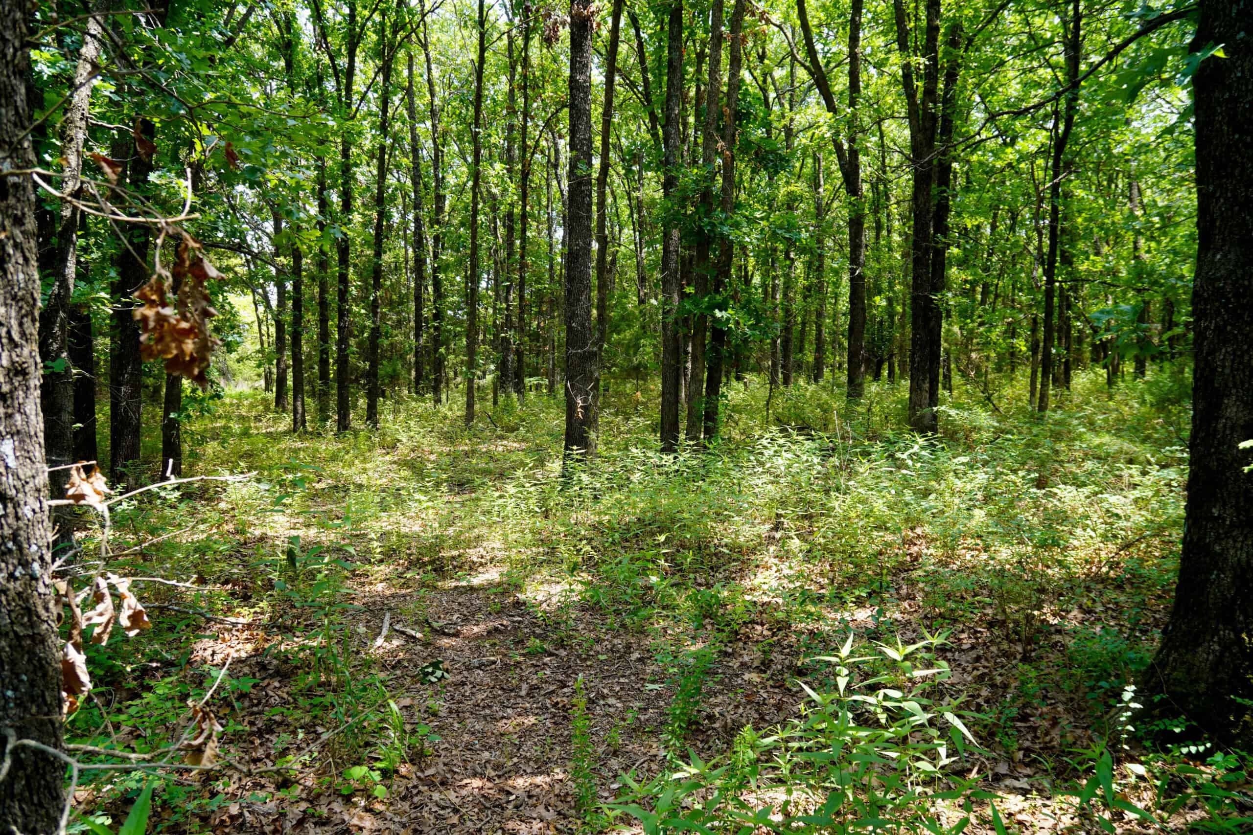 COUNTRY HOME AND RECREATIONAL LAND FOR SALE, MEEKER, OK