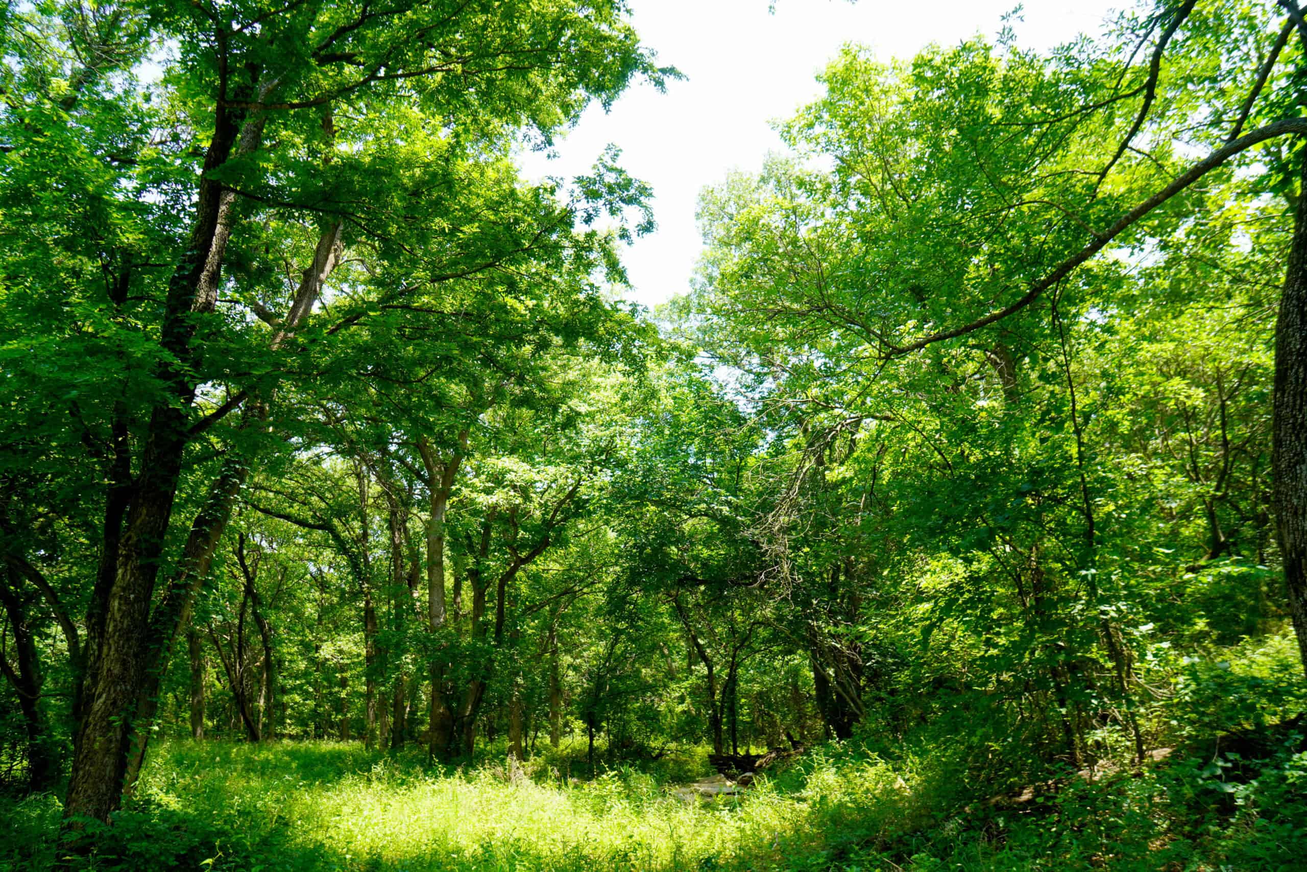 COUNTRY HOME AND RECREATIONAL LAND FOR SALE, MEEKER, OK