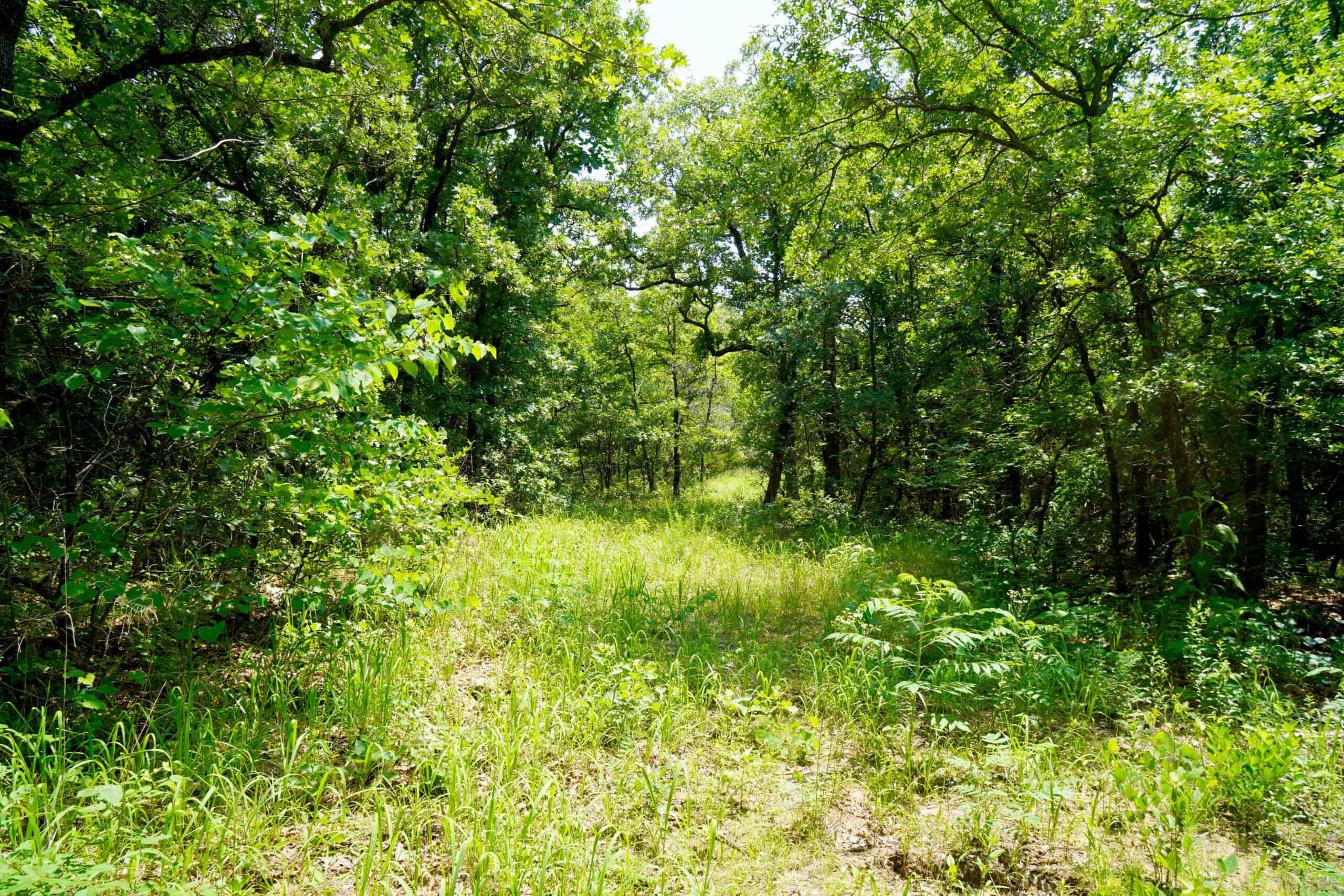 COUNTRY HOME AND RECREATIONAL LAND FOR SALE, MEEKER, OK
