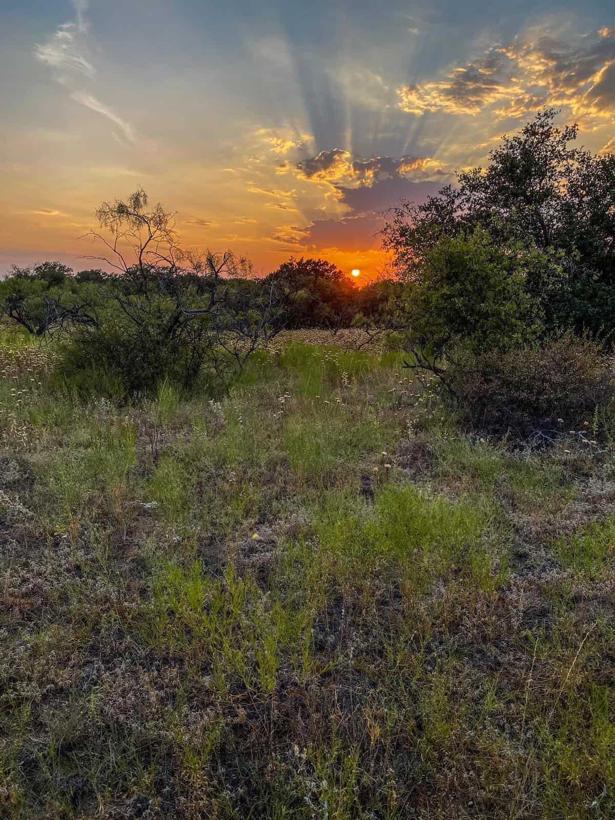 Turn Key Hunting and Recreational Property in Cisco, Texas!