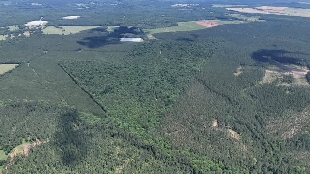 The Shag Bark Tract