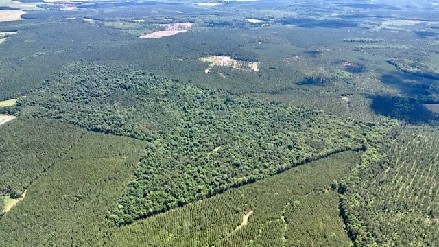 The Shag Bark Tract