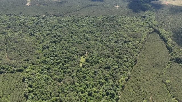 The Shag Bark Tract