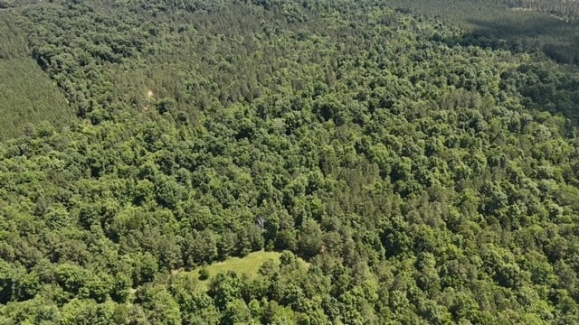 The Shag Bark Tract
