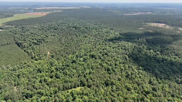 The Shag Bark Tract