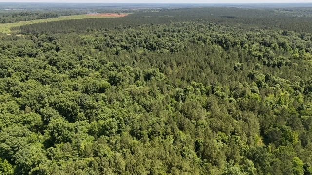 The Shag Bark Tract