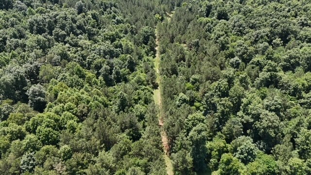 The Shag Bark Tract