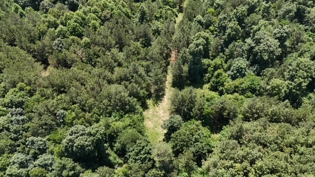 The Shag Bark Tract