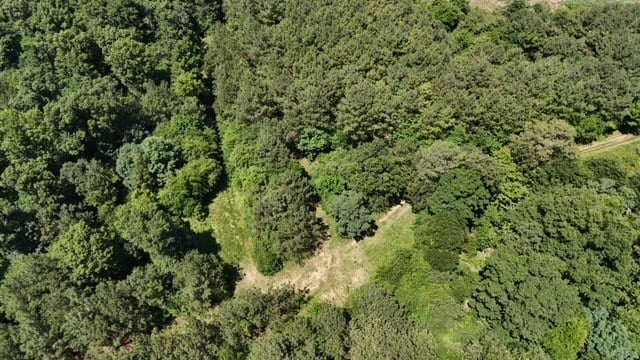 The Shag Bark Tract