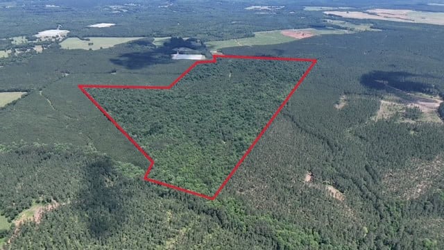 The Shag Bark Tract