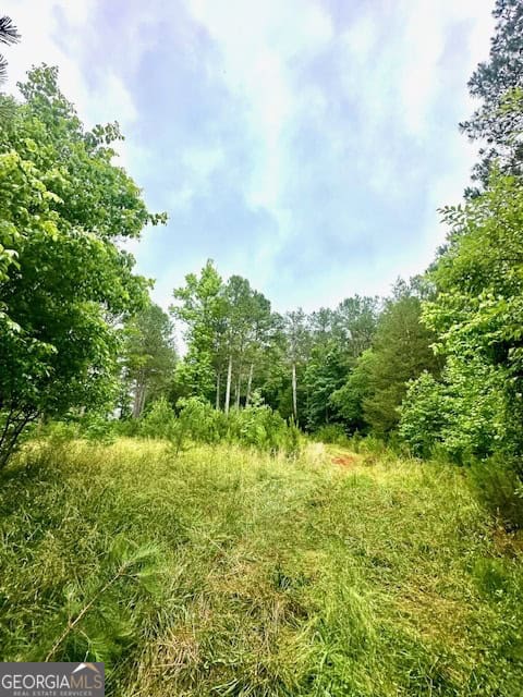 700 Madison Street Comer, GA 30629