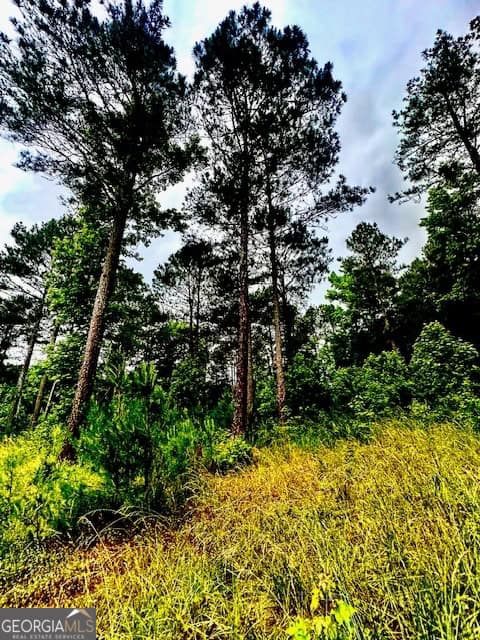 700 Madison Street Comer, GA 30629