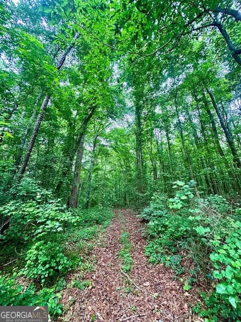700 Madison Street Comer, GA 30629
