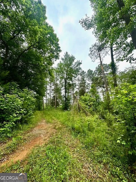 700 Madison Street Comer, GA 30629