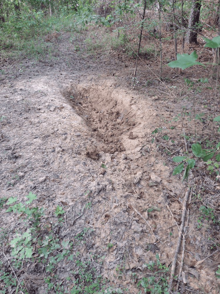 400+ Acres of Hunting and Timber