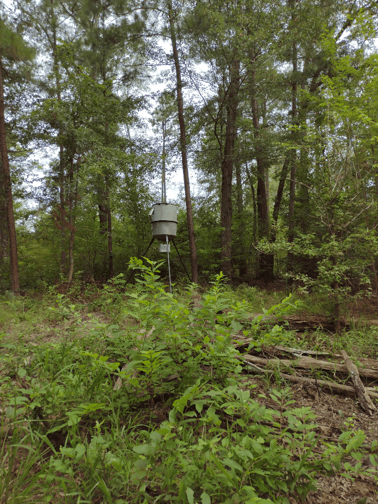 400+ Acres of Hunting and Timber