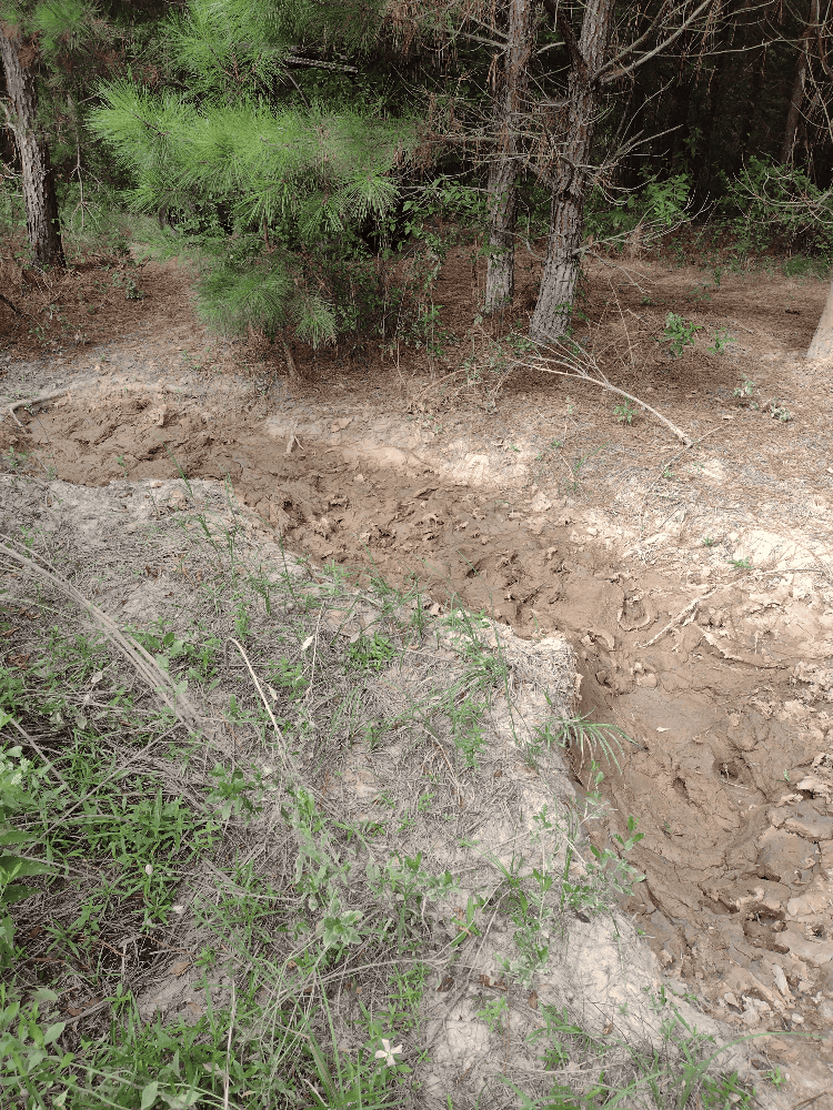 400+ Acres of Hunting and Timber