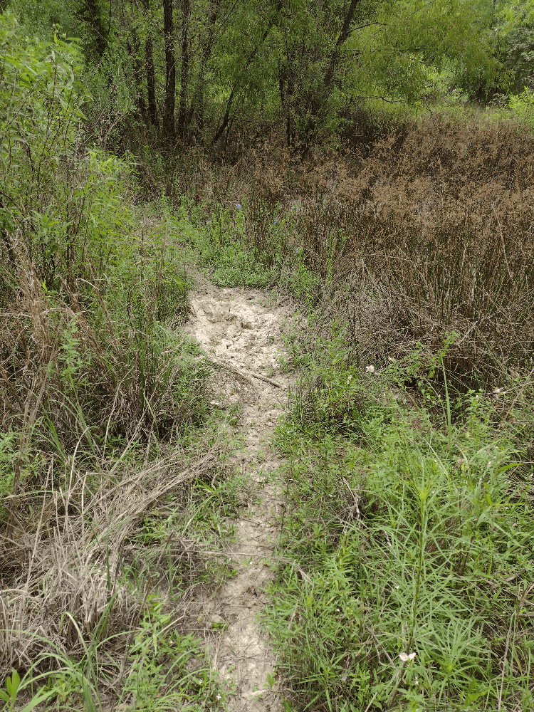 400+ Acres of Hunting and Timber