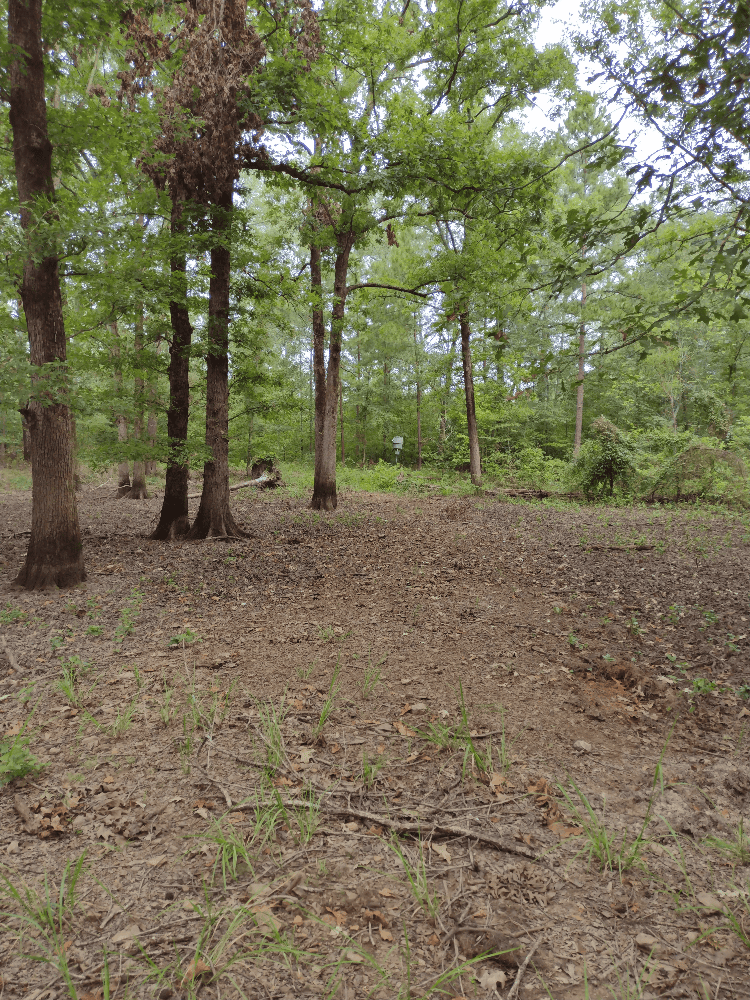 400+ Acres of Hunting and Timber