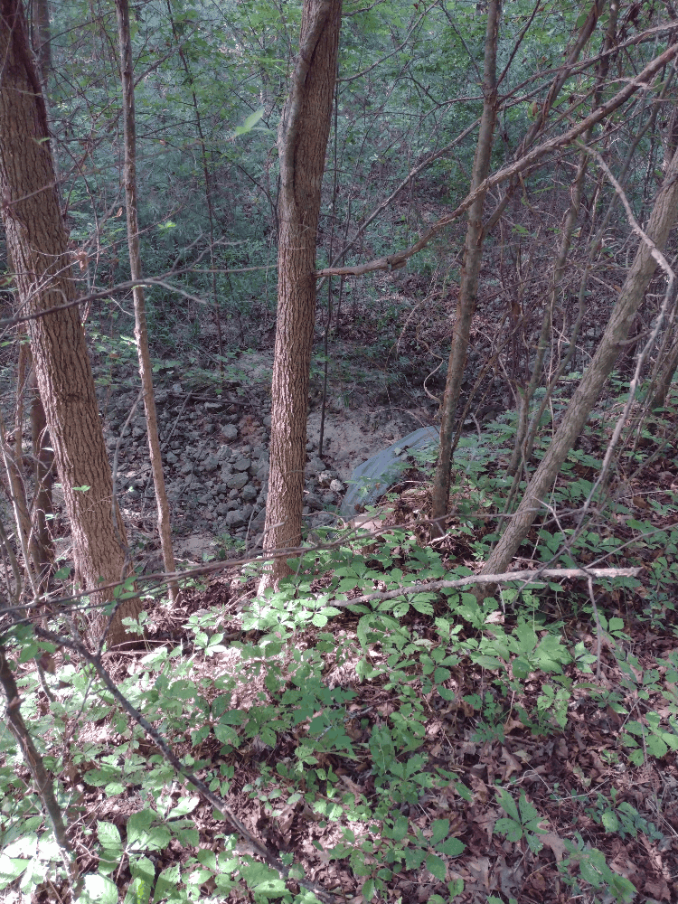 400+ Acres of Hunting and Timber
