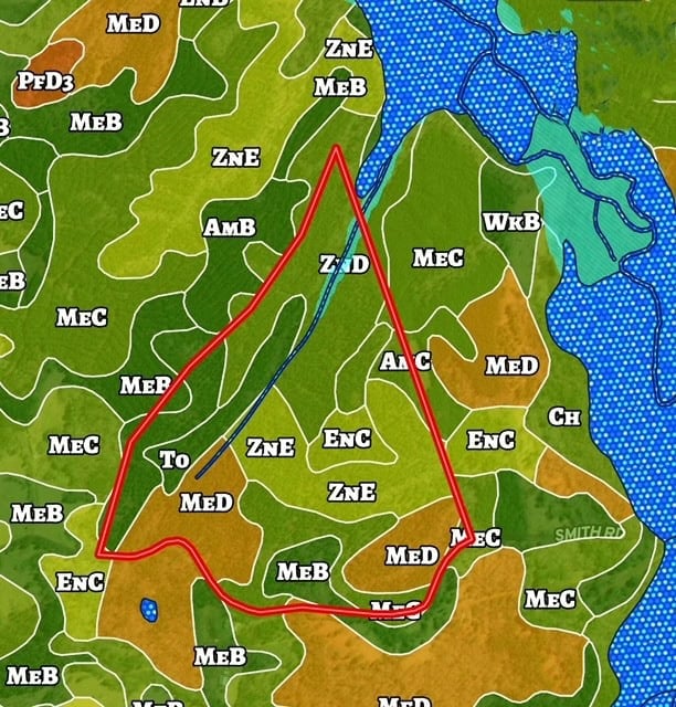 The Lone Oak Tract
