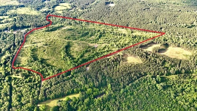 The Lone Oak Tract