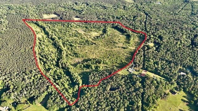 The Lone Oak Tract