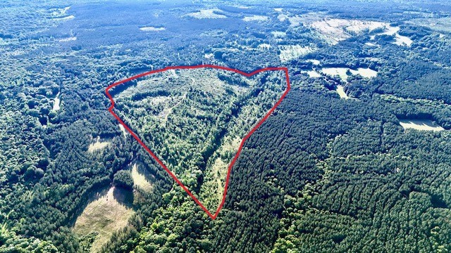 The Lone Oak Tract