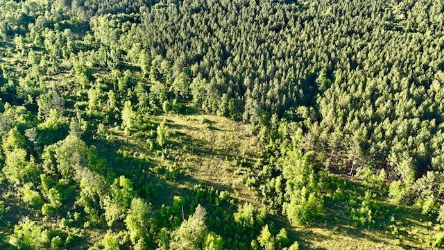 The Lone Oak Tract