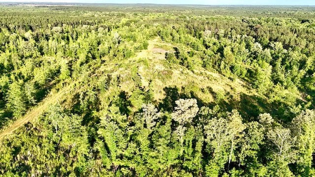The Lone Oak Tract