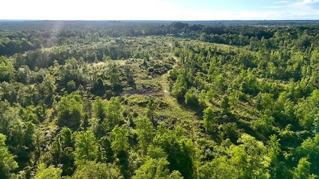 The Lone Oak Tract