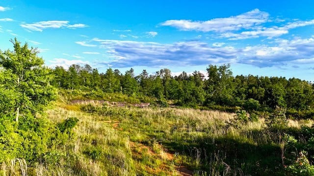 The Lone Oak Tract