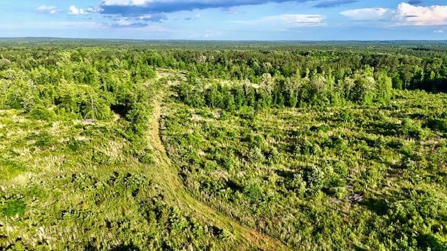 The Lone Oak Tract